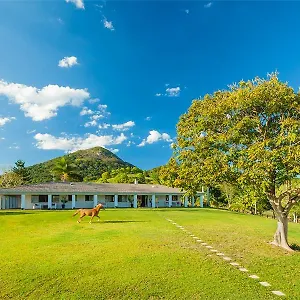 Mountain Retreat Bed & Breakfast
